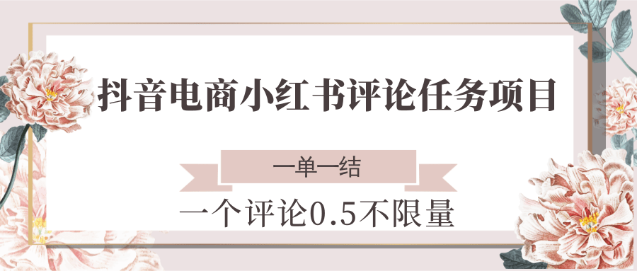 抖音电商小红书评论任务项目，一个评论0.5，一单一结 不限量-网创副业教程