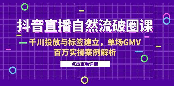 （15136期）抖音直播自然流破圈课-6月，千川投放与标签建立，单场GMV百万实操案例解析-网创副业教程