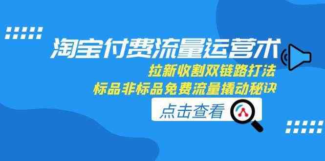 淘宝付费流量运营术，拉新收割双链路打法，标品非标品免费流量撬动秘诀-网创副业教程
