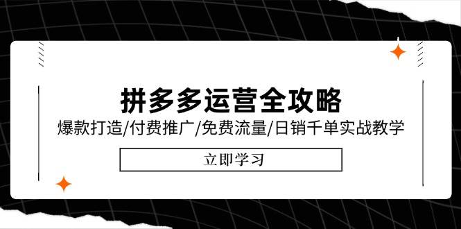 （15085期）拼多多运营全攻略，爆款打造/付费推广/免费流量/日销千单实战教学/6月更新-网创副业教程