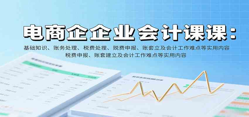 电商企业会计课：基础知识、账务处理、税费申报、账套建立及会计工作难点等实用内容-网创副业教程