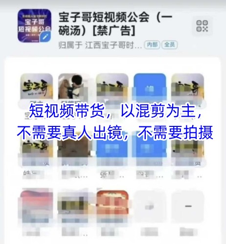 宝子哥头部团队短视频带货，以混剪为主，不需要真人出镜，不需要拍摄【更新6月】-网创副业教程