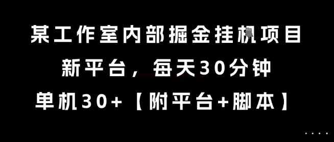 某工作室内部掘金挂G项目，新平台，每天30分钟，单机30+【揭秘】-网创副业教程