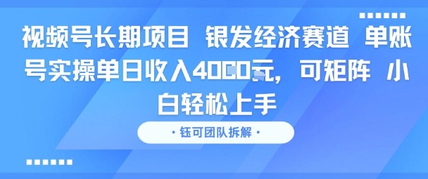 视频号长期项目 银发经济赛道 单账号实操单日收入1k，可矩阵 小白轻松上手-网创副业教程