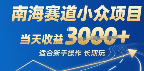 南海赛道小众项目，当天收益1k+适合新手操作可以长期玩-网创副业教程