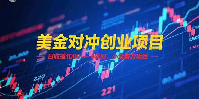 （15187期）美金对冲创业项目，日收益 1000 – 4000，小众暴力项目-网创副业教程