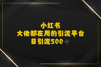 小红书，大佬都在用的大粉平台，日引流500+-网创副业教程
