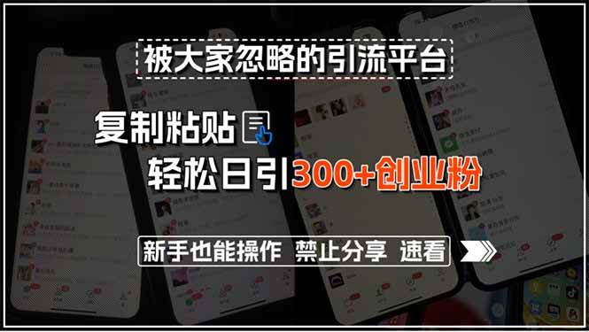 （15428期）被大家忽略的引流平台，复制粘贴轻松日引300+创业粉，新手也能操作，禁…-网创副业教程