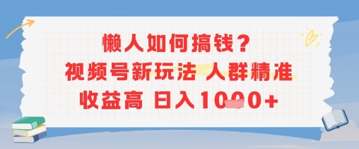 懒人如何搞钱？视频号新玩法，人群精准收益高，日入多张-网创副业教程