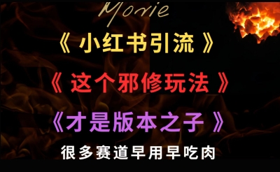 最近小红书引流这个邪修玩法才是版本之子，很多赛道早用早吃肉-网创副业教程