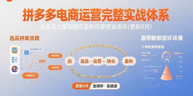 （15579期）拼多多电商运营完整实战体系，从选品上架到稳定盈利完整商业闭环(更新8月)-网创副业教程
