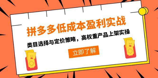 （15143期）拼多多低成本盈利实战，类目选择与定价策略，高权重产品上架实操-网创副业教程