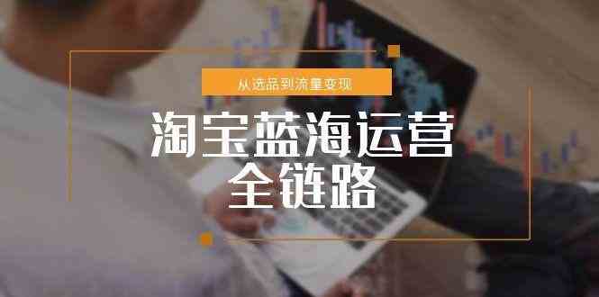 淘宝蓝海运营全链路，从选品到流量变现，小类目突围完整方案-网创副业教程