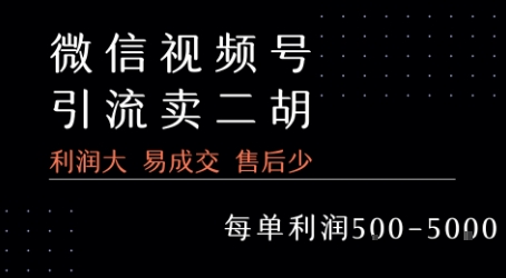视频号卖二胡教程，利润大 易成交 售后少，一单利润5张+-网创副业教程