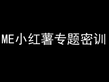 ME小红薯专题密训-小红书电商教程-网创副业教程