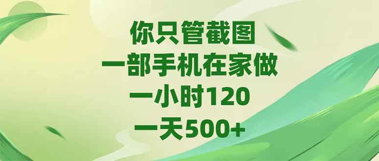 （15039期）你只管截图，一部手机在家做，一小时120，-天500+-网创副业教程