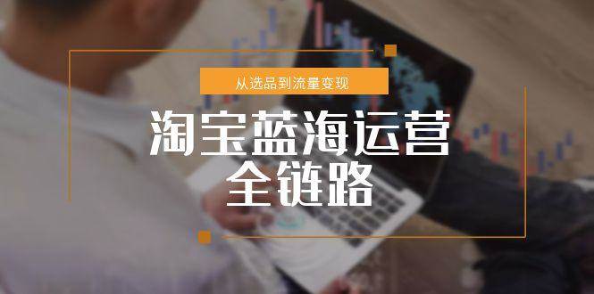 （15160期）淘宝蓝海运营全链路，从选品到流量变现，小类目突围完整方案-网创副业教程