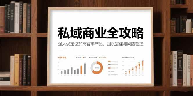 （15294期）私域商业全攻略，强人设定位加高客单产品，团队搭建与风险管控-网创副业教程