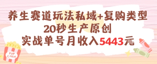 养生赛道玩法私域+复购类型，20秒生产原创实战单号月收入5k+-网创副业教程