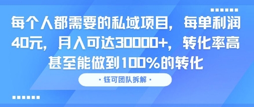 每个人都需要的私域项目，每单利润40米，月入可达3W+，转化率高 甚至能做到100%的转化-网创副业教程