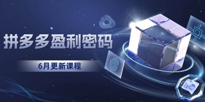 （15005期）拼多多盈利密码：从烧钱推广到印钞模型，底层逻辑重构指南（6月更新）-网创副业教程