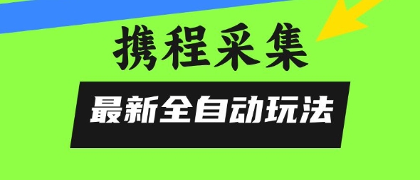 携程信息采集全自动玩法，0风控，无脑开干【揭秘】-网创副业教程