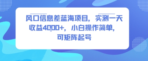 风口信息差蓝海项目，实测一天收益4k+，小白操作简单，可矩阵起号-网创副业教程