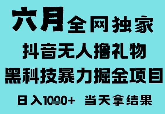 25年6月高爆抖音无人直播最新撸音浪掘金项目，门槛低小白可做，无脑日入1k，可矩阵放大【揭秘】-网创副业教程
