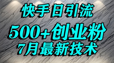 创业粉怎么打？快手精准引流创业粉，宝妈群体日进500+精准流量-网创副业教程