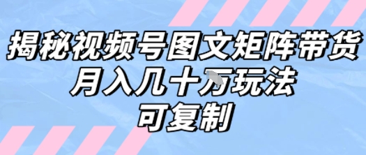解密视频号图文矩阵带货，月入几个W的打法，可复制-网创副业教程