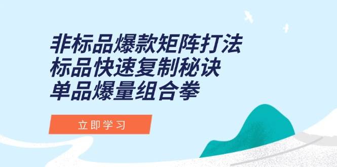 （15068期）非标品爆款矩阵打法，标品快速复制秘诀，单品爆量组合拳-网创副业教程