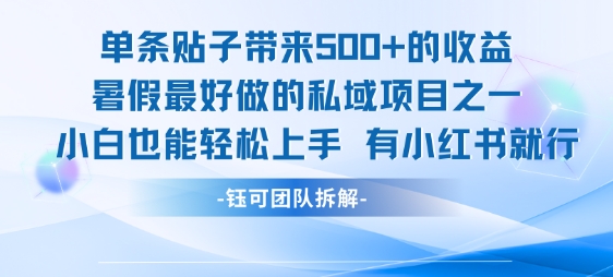 单条贴子带来5张的收益，暑假最好做的私域项目之一，小白也能轻松上手，有小红书就行-网创副业教程