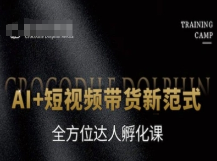 AI+短视频带货新范式，全方位达人孵化课-网创副业教程