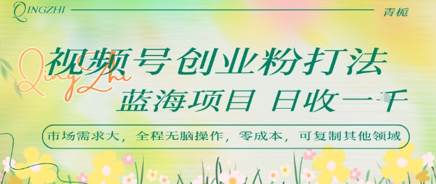 视频号创业粉打法，日入1k，蓝海项目，市场需求大，全程无脑操作，可复制-网创副业教程