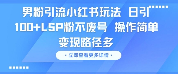 男粉引流小红书玩法，日引100+LSP粉不废号，操作简单，变现路径多-网创副业教程