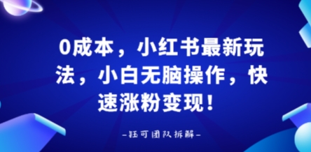 0成本，小红书最新玩法，小白无脑操作，快速涨粉变现-网创副业教程