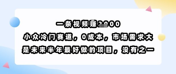 一条视频挣1k，小众冷门赛道，0成本，市场需求大，是未来半年最好做的项目，没有之一-网创副业教程
