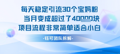 每天稳定引流30个人 当月变成超过了4个W项目流程非常简单适合小白-网创副业教程