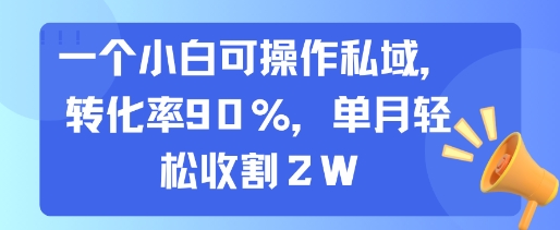 一个小白可操作私域，转化率90%，单月轻松收割2W-网创副业教程