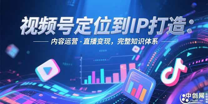 （15173期）视频号定位到IP打造：账号搭建-内容运营-直播变现，完整知识体系-网创副业教程