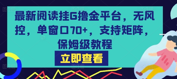 最新阅读挂G撸金平台，无风控，单窗口70+，支持矩阵，保姆级教程【揭秘】-网创副业教程