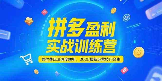 拼多多盈利实战训练营，强付费玩法深度解析，2025最新运营技巧合集-网创副业教程