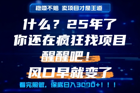 什么？25年你还在疯狂找项目做，醒醒吧，看完这些你全都懂了！【揭秘】-网创副业教程