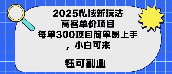 2025私域新玩法高客单价，每单3张操作简单，小白可轻松上手-网创副业教程