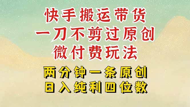 （15577期）快手黑科技搬运带货，一刀不剪过原创，微付费投流玩法，轻松日入四位数…-网创副业教程