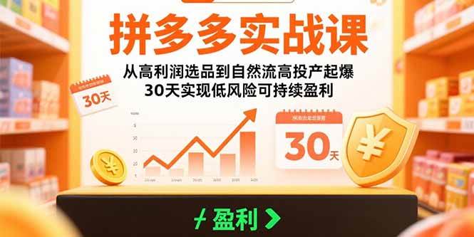 （15586期）拼多多实战课：从高利润选品到自然流高投产起爆 30天实现低风险可持续盈利-网创副业教程