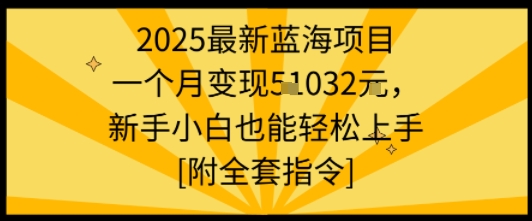 2025最新蓝海项目一个月变现1w+新手小白也能轻松上手【附全套指令】-网创副业教程