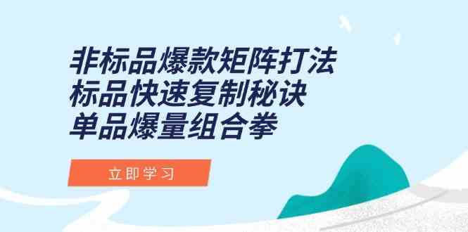 非标品爆款矩阵打法，标品快速复制秘诀，单品爆量组合拳-网创副业教程