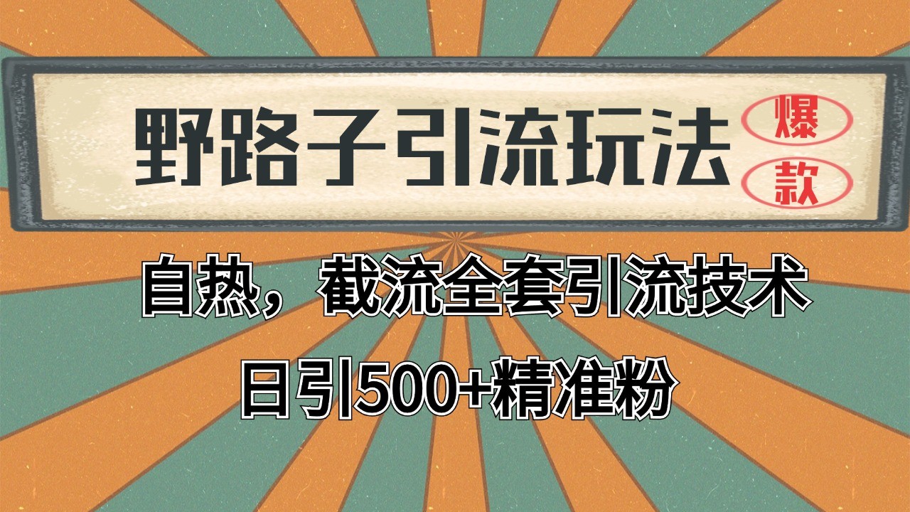 2024首发野路子引流玩法截流自热全平台打法，全自动引流【日引2000+精准客户】-网创副业教程