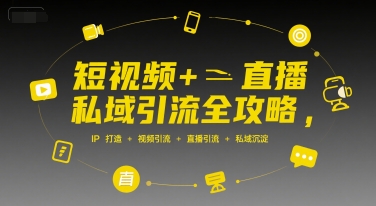 短视频+直播私域引流全攻略，IP打造 +视频引流 +直播引流 +私域沉淀-网创副业教程